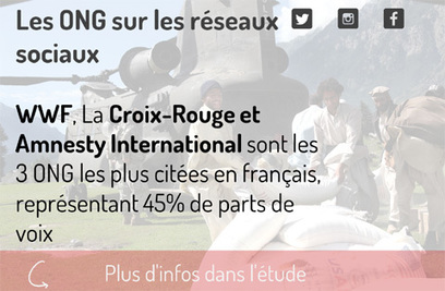 [etude] Les ONG sur les réseaux sociaux en France | Digimind : Logiciels de veille, e-réputation et Social Media Monitoring