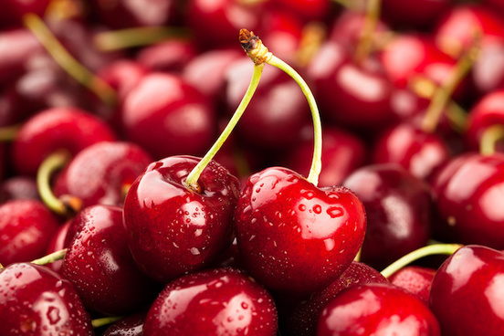 Pourquoi la France ne récolte pas tous les fruits de la transformation digitale